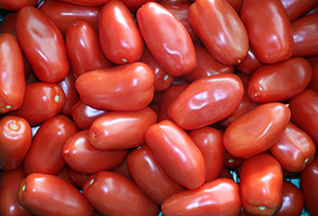 tomate-magasin-ciboulette-2