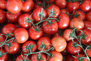 tomates-magasin-ciboulette-11