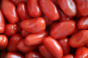 tomates-magasin-ciboulette-6