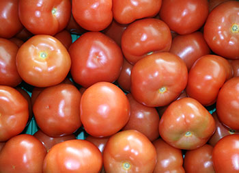 tomates-magasin-ciboulette